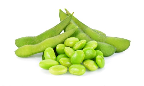 中药蝉蜕的功能主治是什么-【蝉蜕的用药功效】中药蝉蜕的功能主治是什么 - 蝉蜕中药功效与作用网
